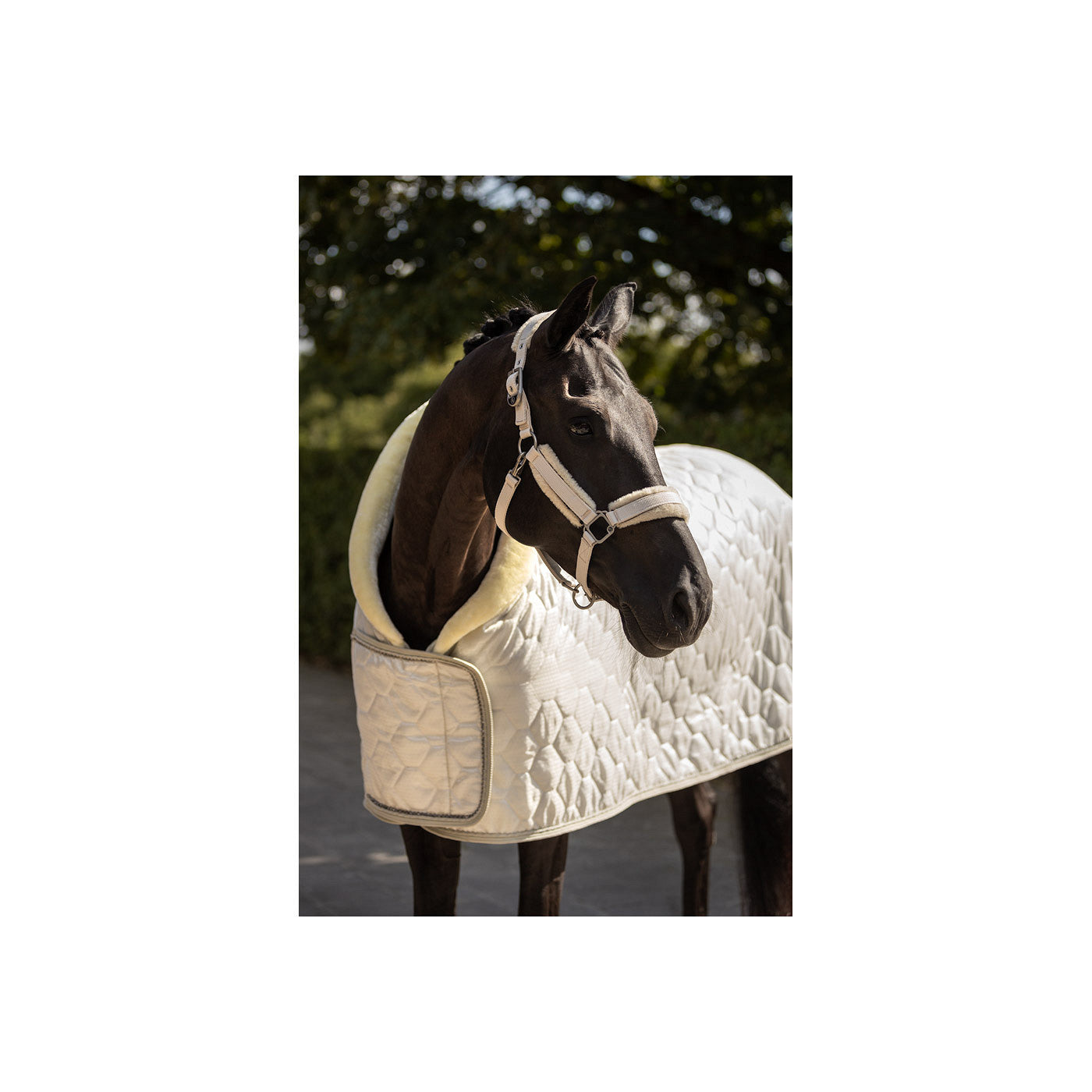 BR Halter Zamora C-Wear Delicate Fur