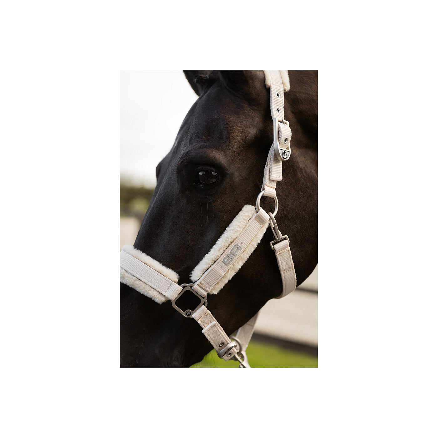 BR Halter Zamora C-Wear Delicate Fur