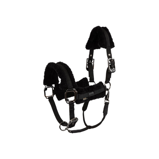 BR Eevolv halster Jonne