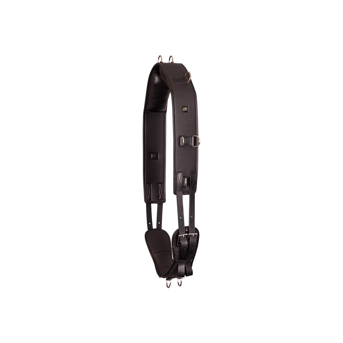 BR Lunging Roller Gentle