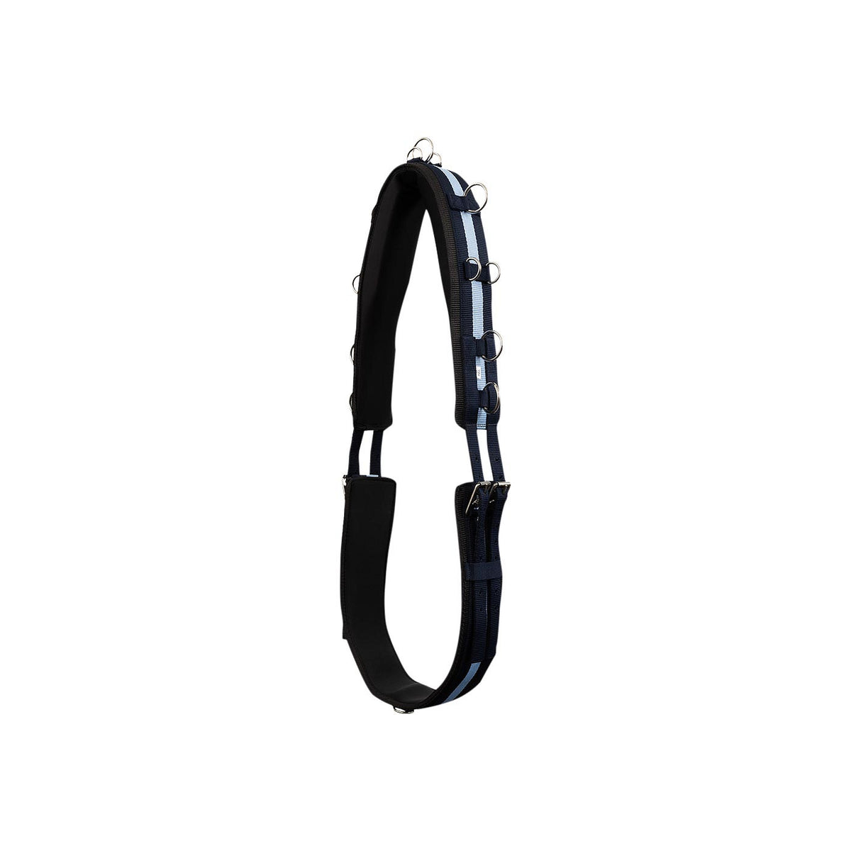 Premiere Lunging Roller