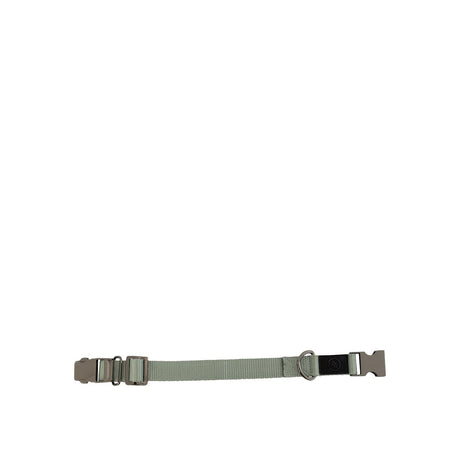 BR Dog Collar