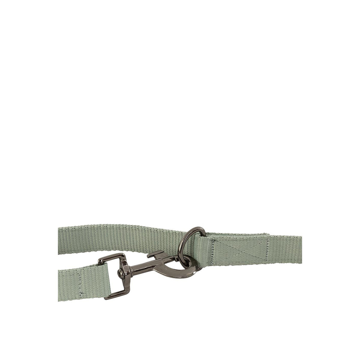 BR Dog Leash