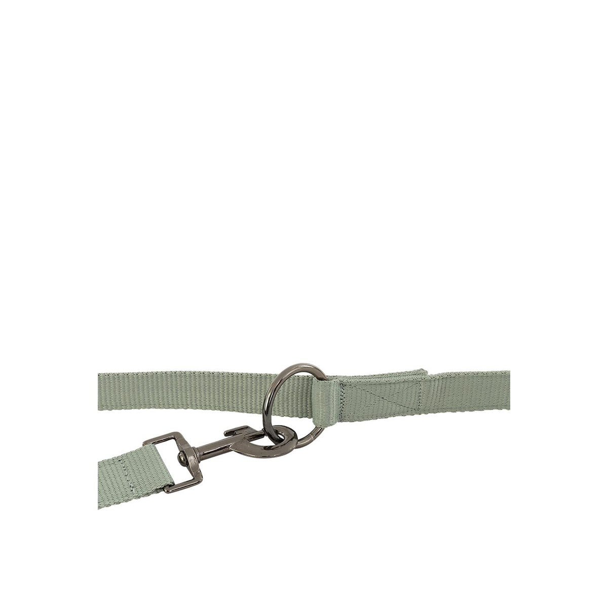 BR Dog Leash