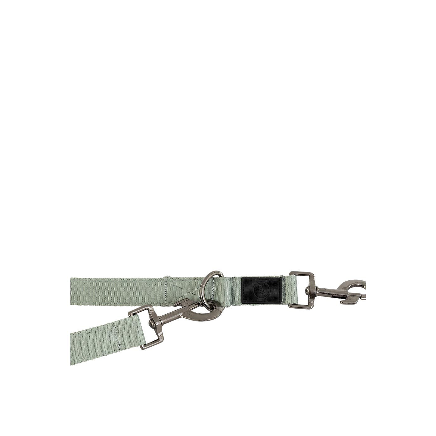 BR Dog Leash