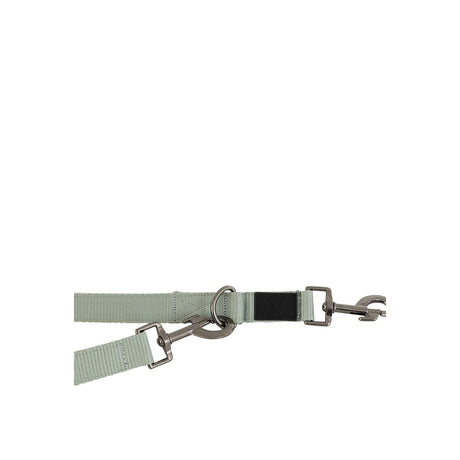 BR Dog Leash