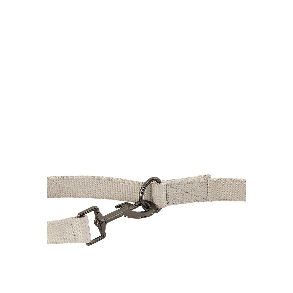 BR Dog Leash