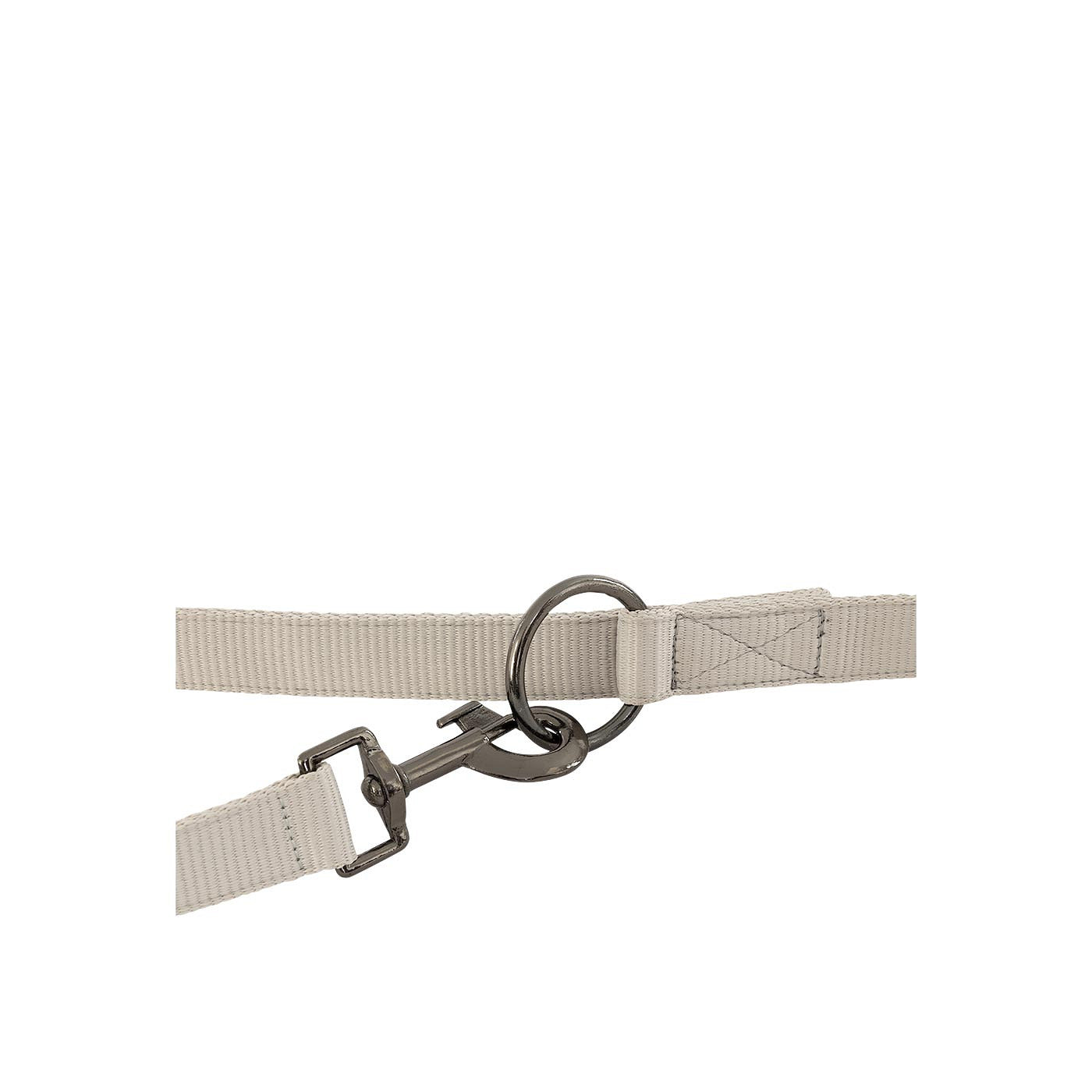 BR Dog Leash