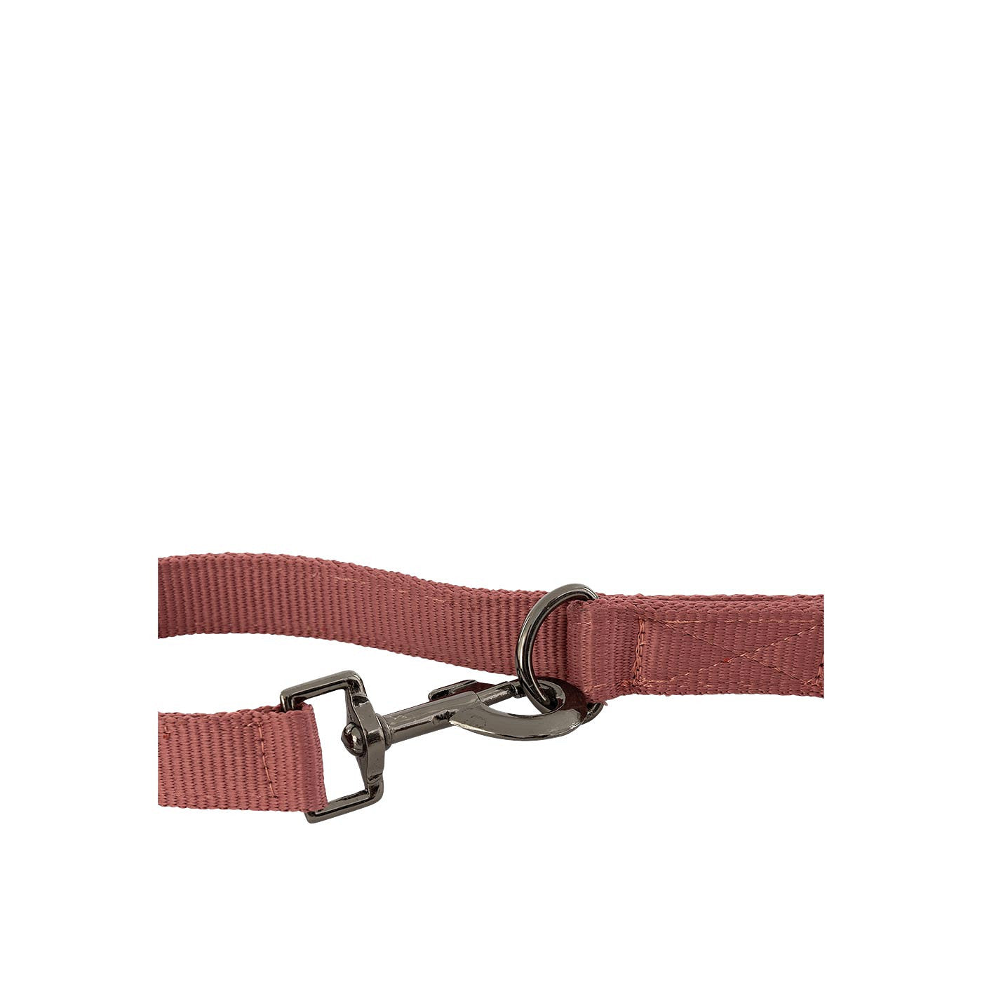 BR Dog Leash