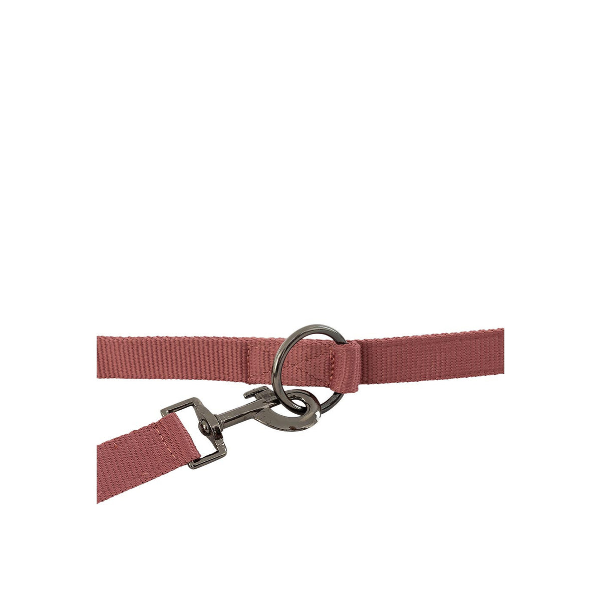 BR Dog Leash