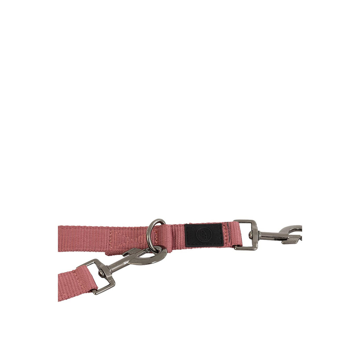 BR Dog Leash