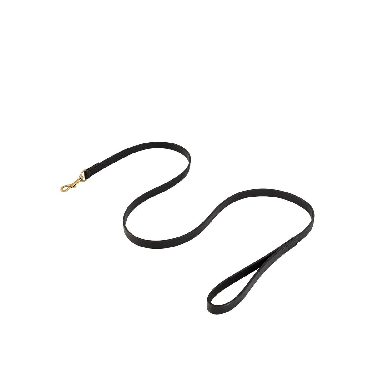 BR Dog Lead