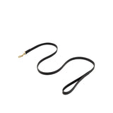 BR Dog Lead