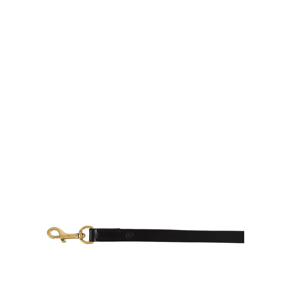 BR Dog Lead