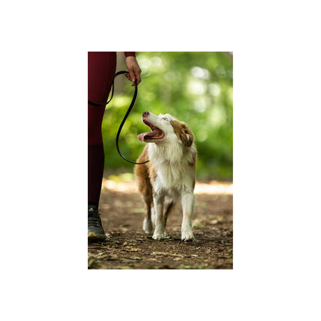 BR Dog Lead