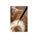 BR Dog Lead