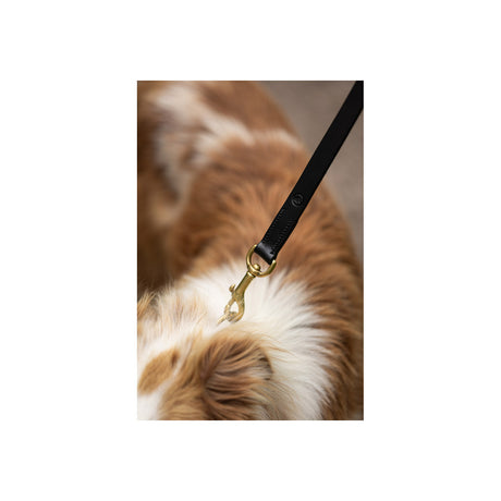 BR Dog Lead