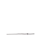 Lung.whip Prem.Deimos hollow c arb.non-skid grip+nyl.lashing