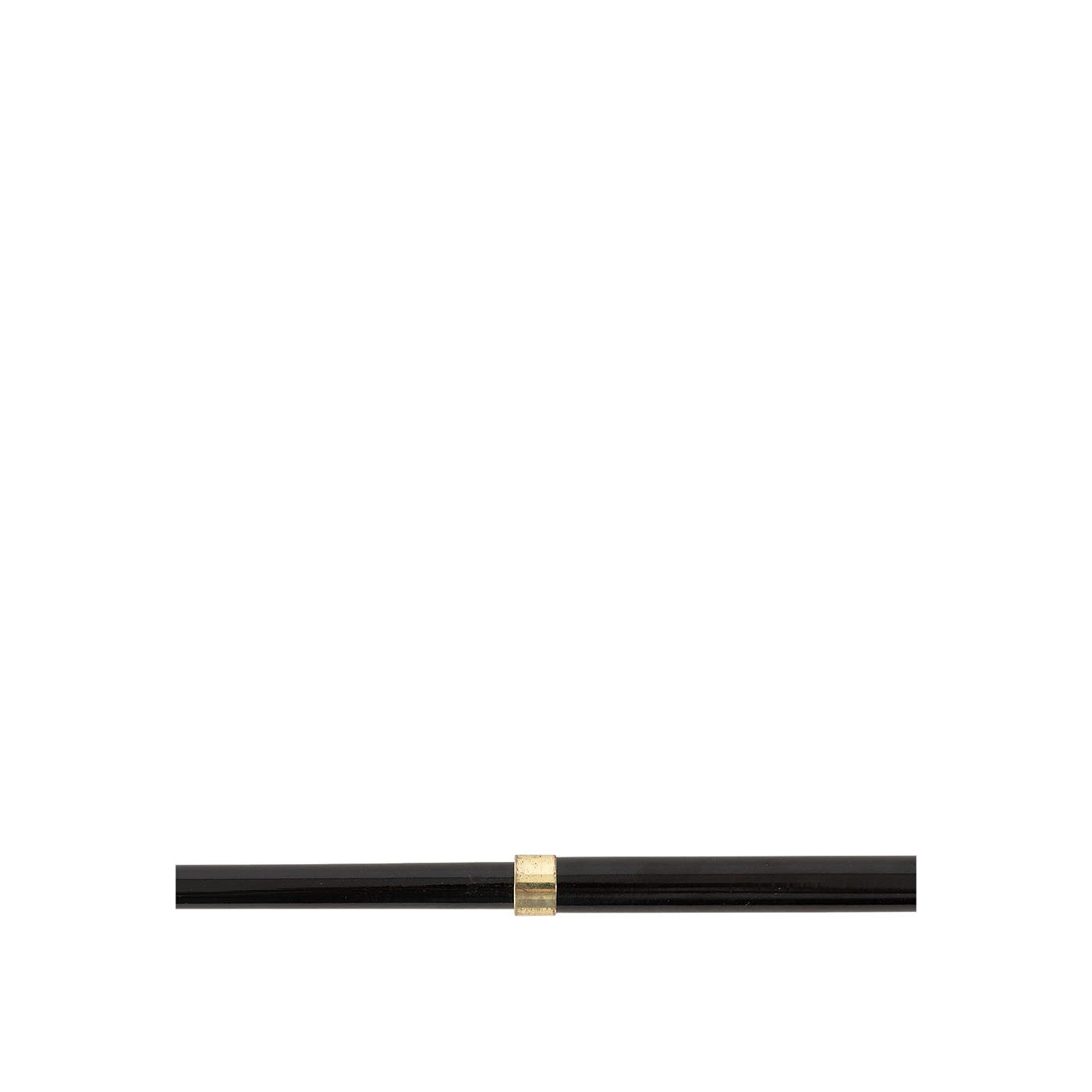 Premiere Lunging Whip Elara Telescopic, Lightweight