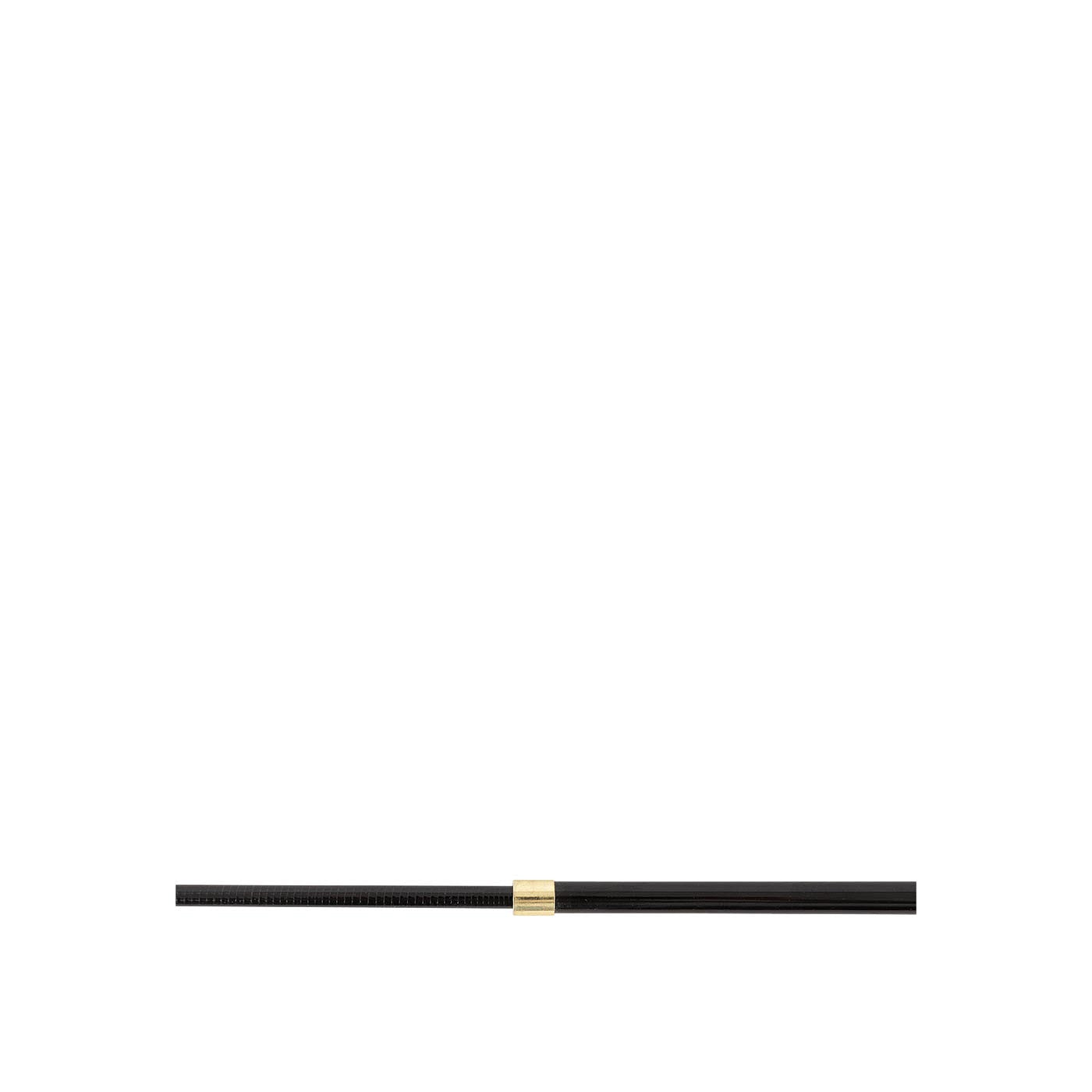 Premiere Lunging Whip Elara Telescopic, Lightweight