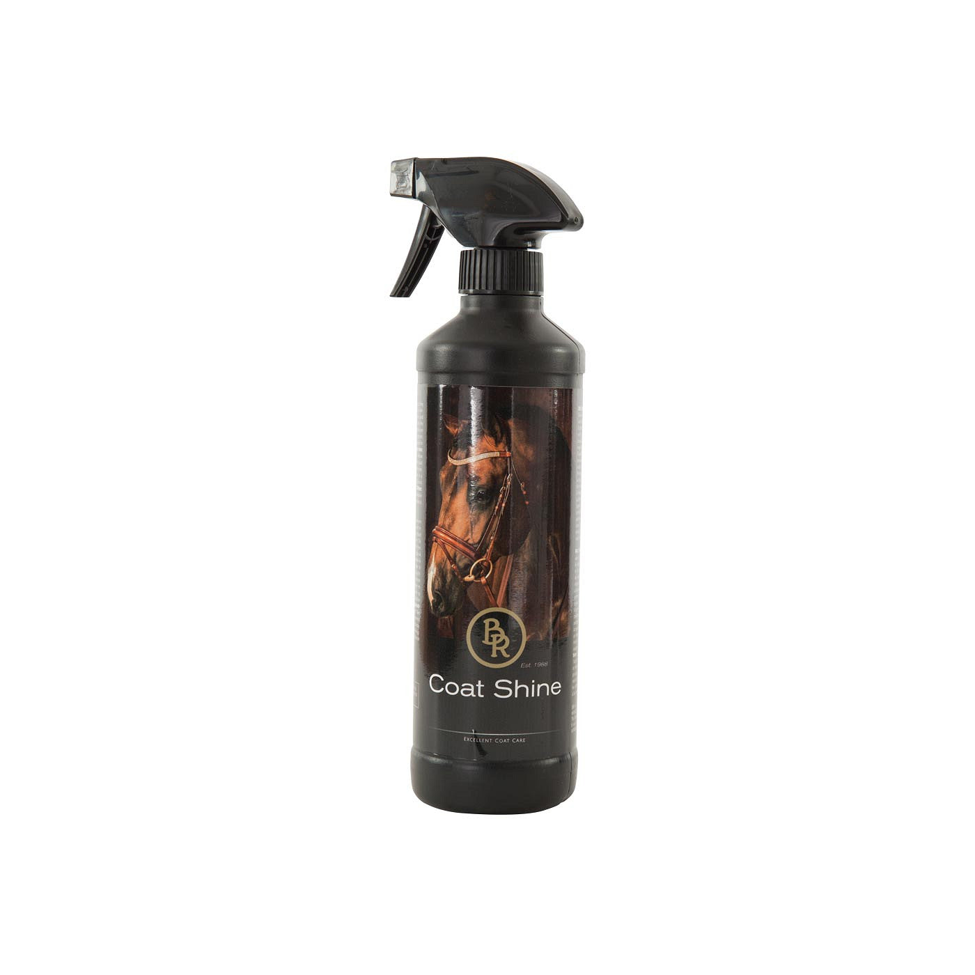 BR Coat Shine 500 ml PU6