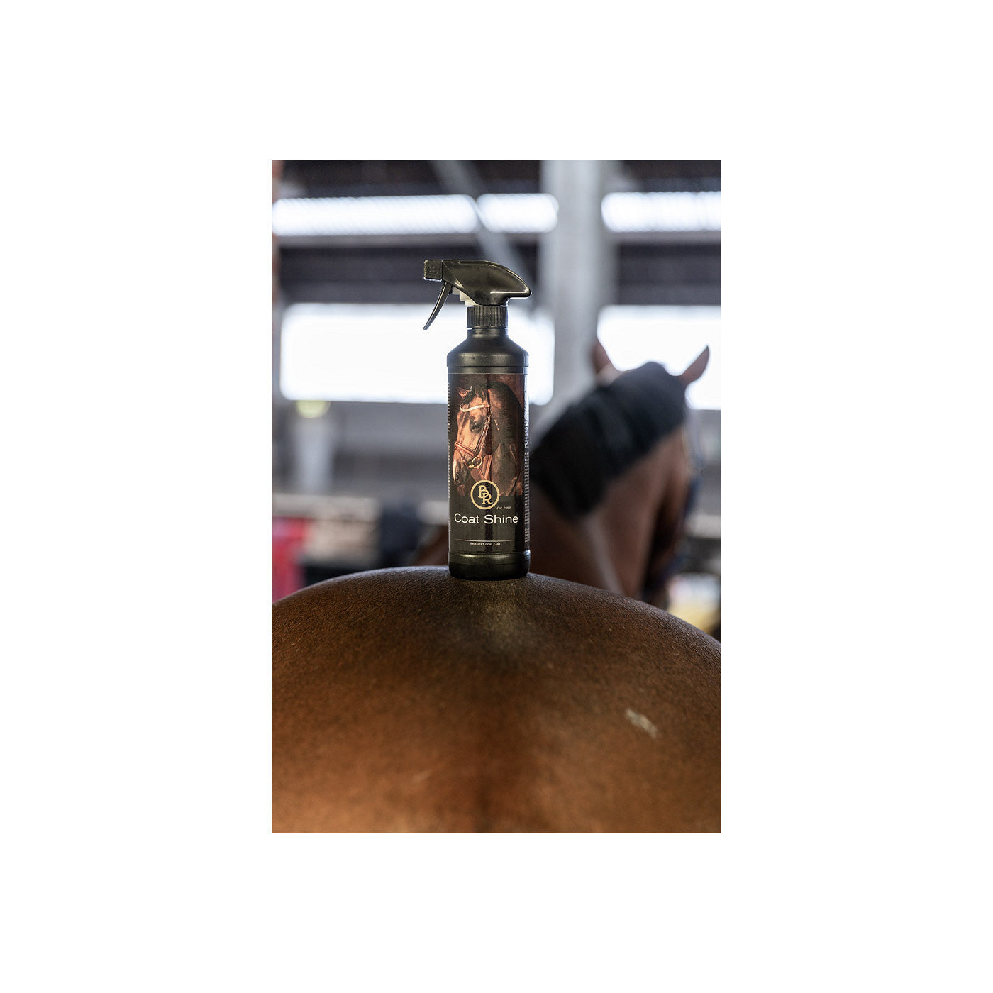 Coat shine BR 500ml spray PU6