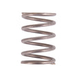 Valve Spring