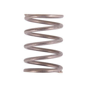 Valve Spring
