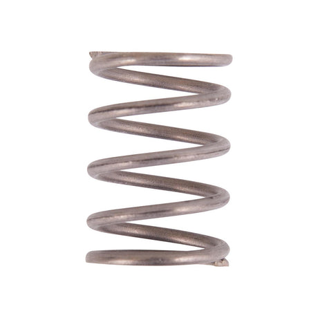 Valve Spring