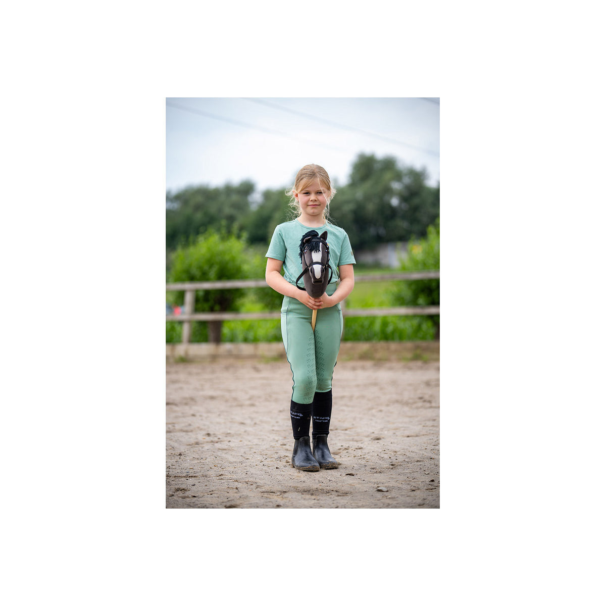 BR Mini Horse Hobby Horse