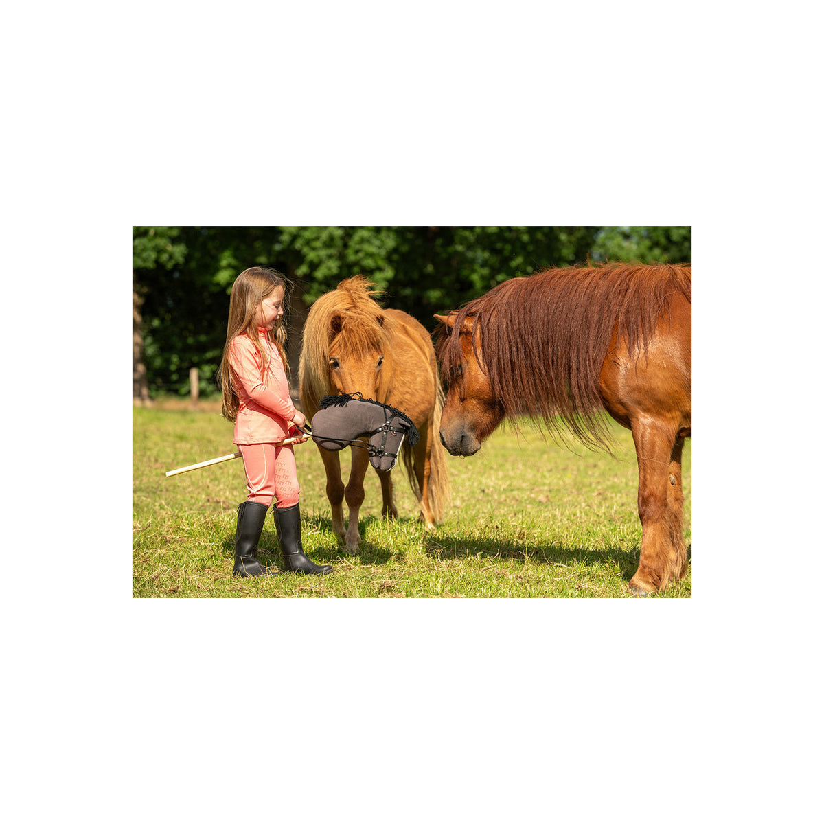 BR Mini Horse Hobby Horse
