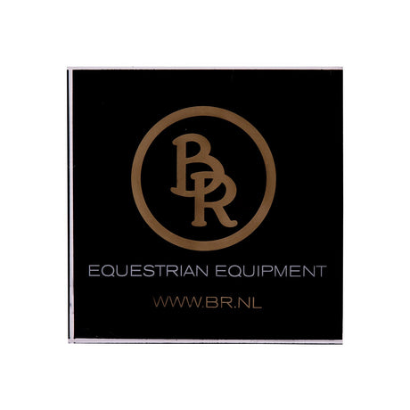 BR Promotional Block