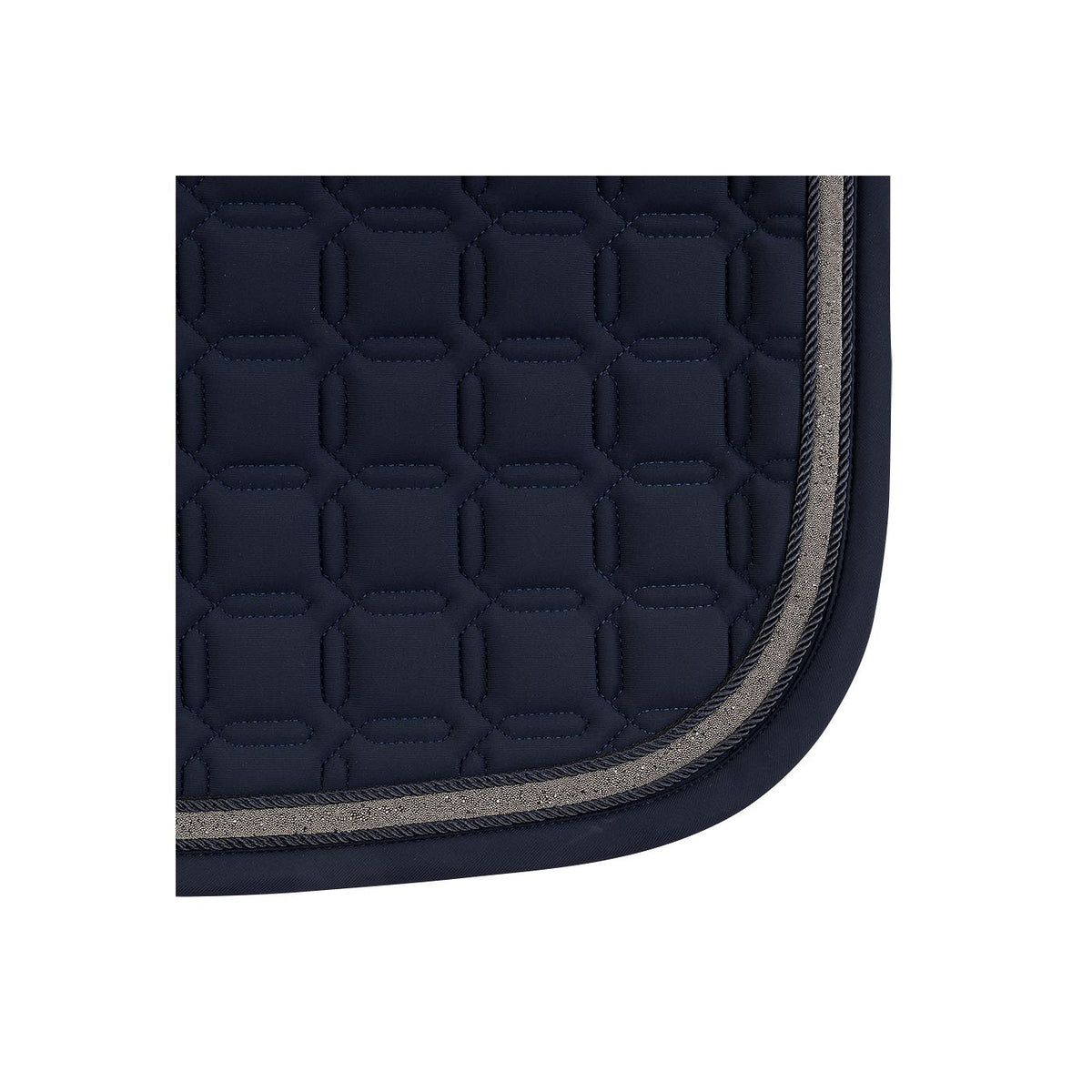 ANKY Pad XB24003 Luminous Nylon Dressage