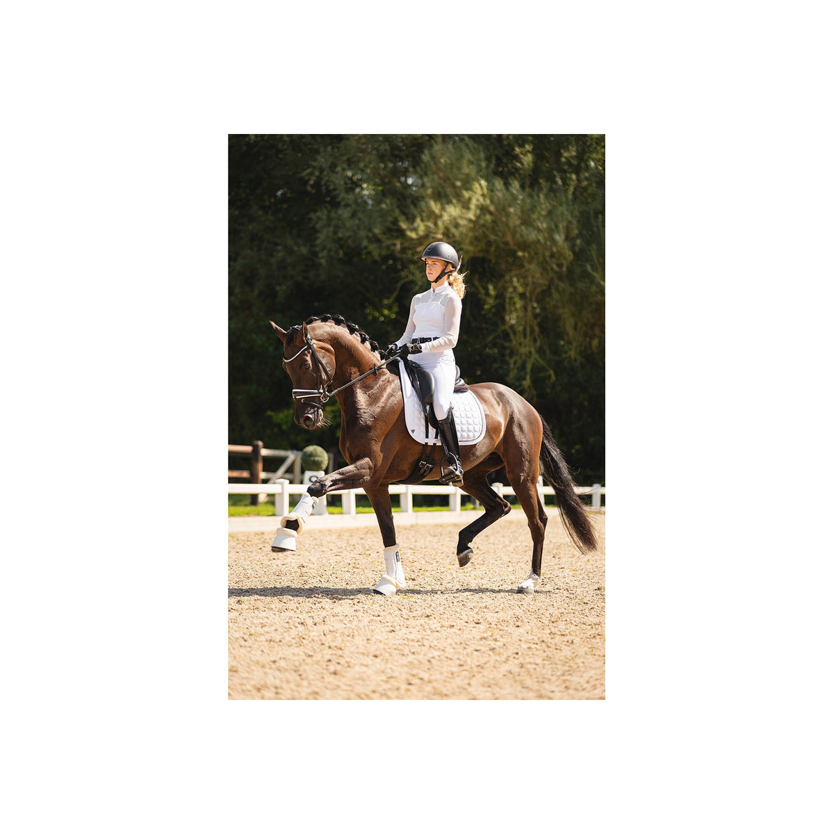 ANKY Pad XB24003 Luminous Nylon Dressage