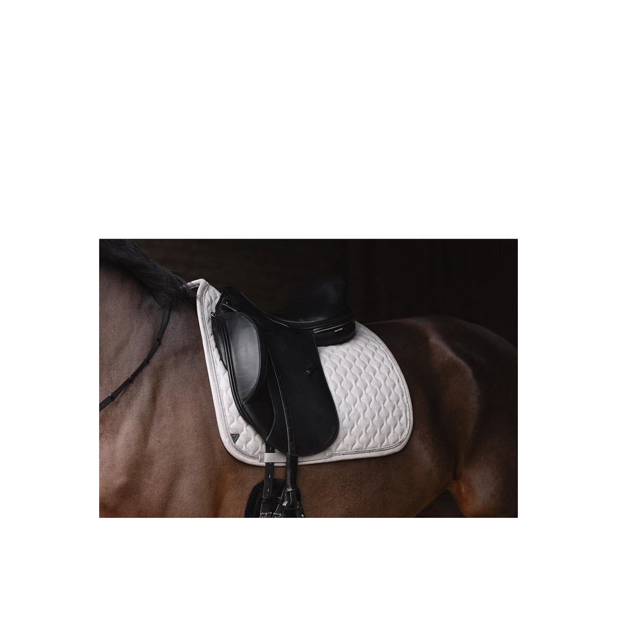 ANKY® Pad Dressage XB25002