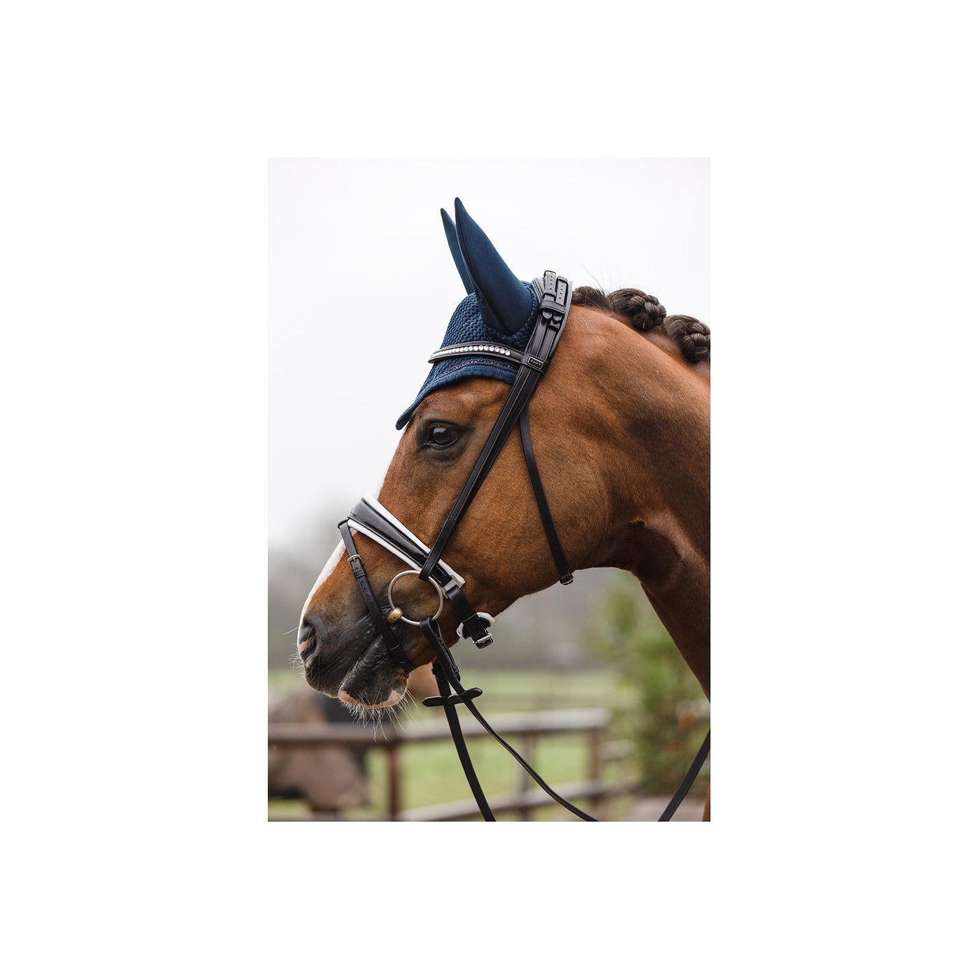 ANKY Bridle ATH22002 Crown buckle/reins/anatom.