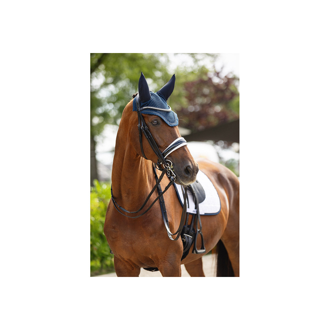 ANKY Double Bridle ATH23002