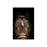 ANKY Double Bridle ATH23002