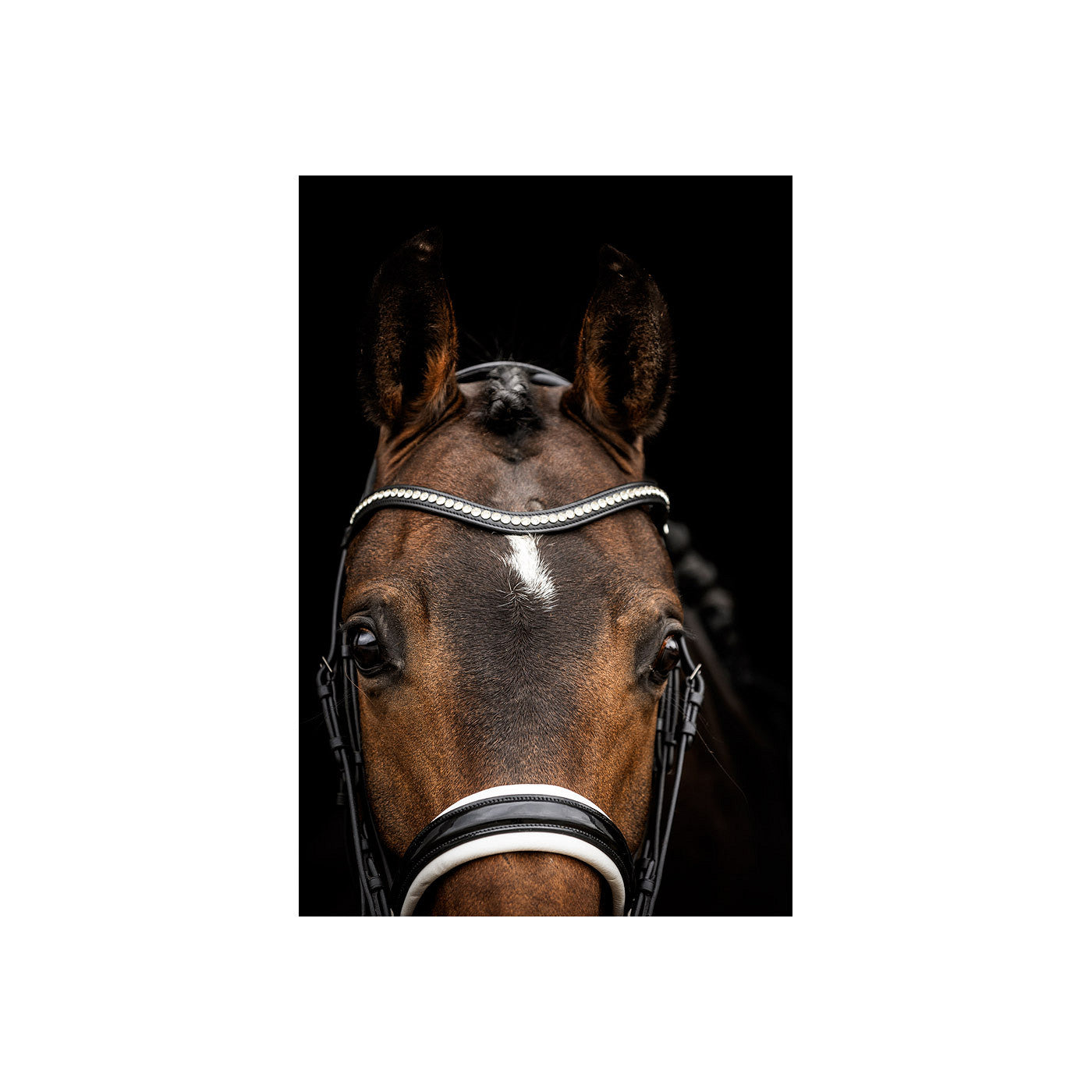ANKY Double Bridle ATH23002