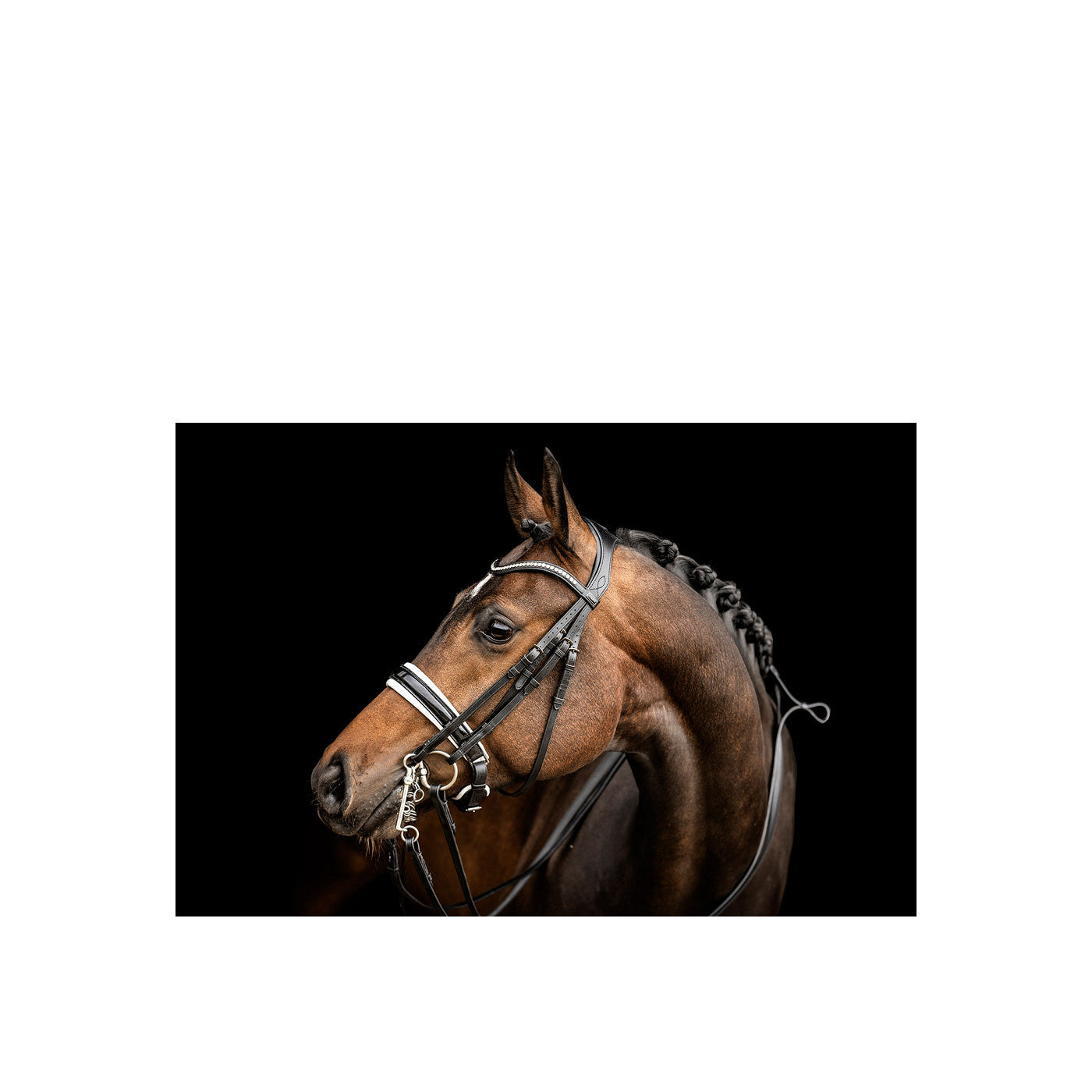 ANKY Double Bridle ATH23002