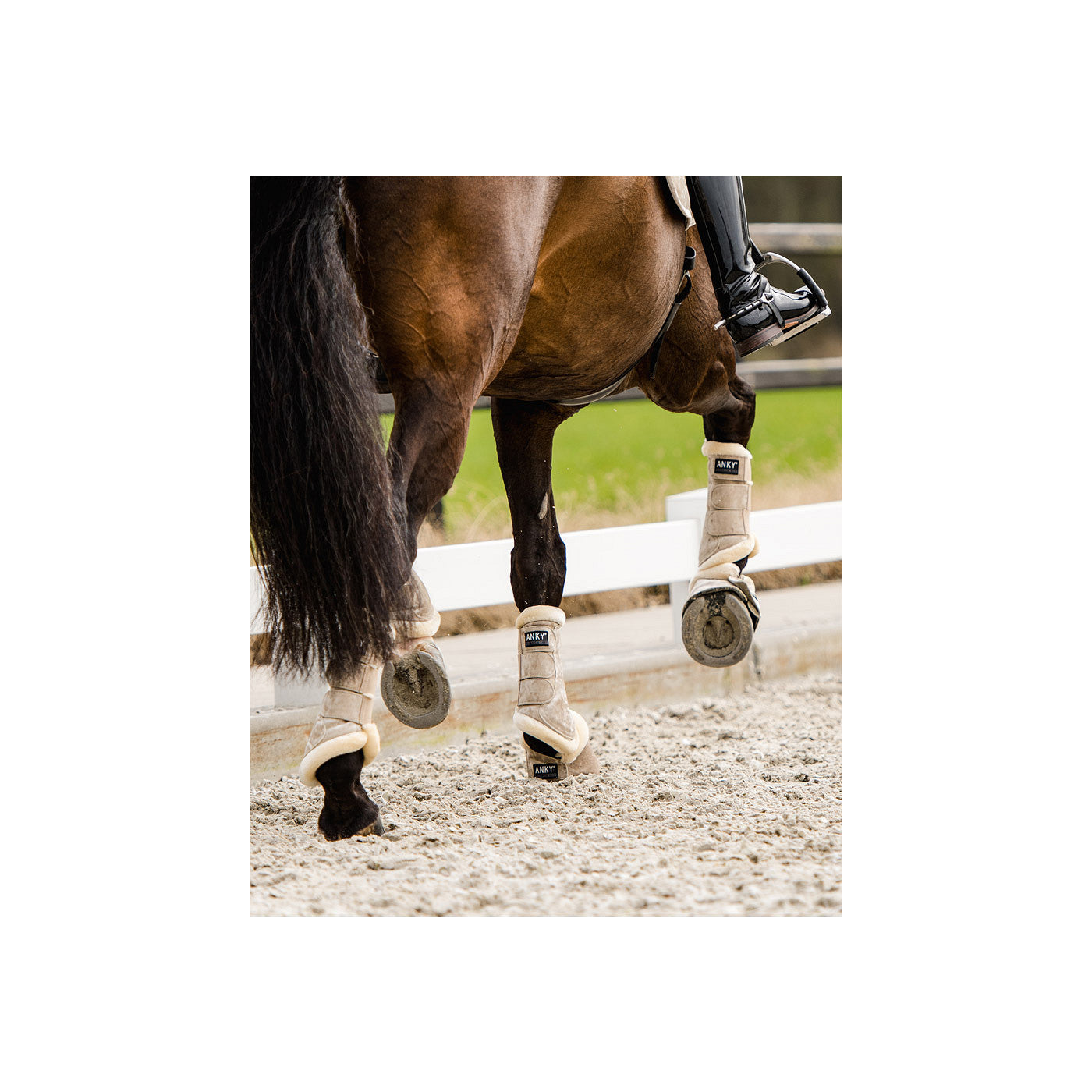 ANKY Proficient Boots Jubilee ATB24001