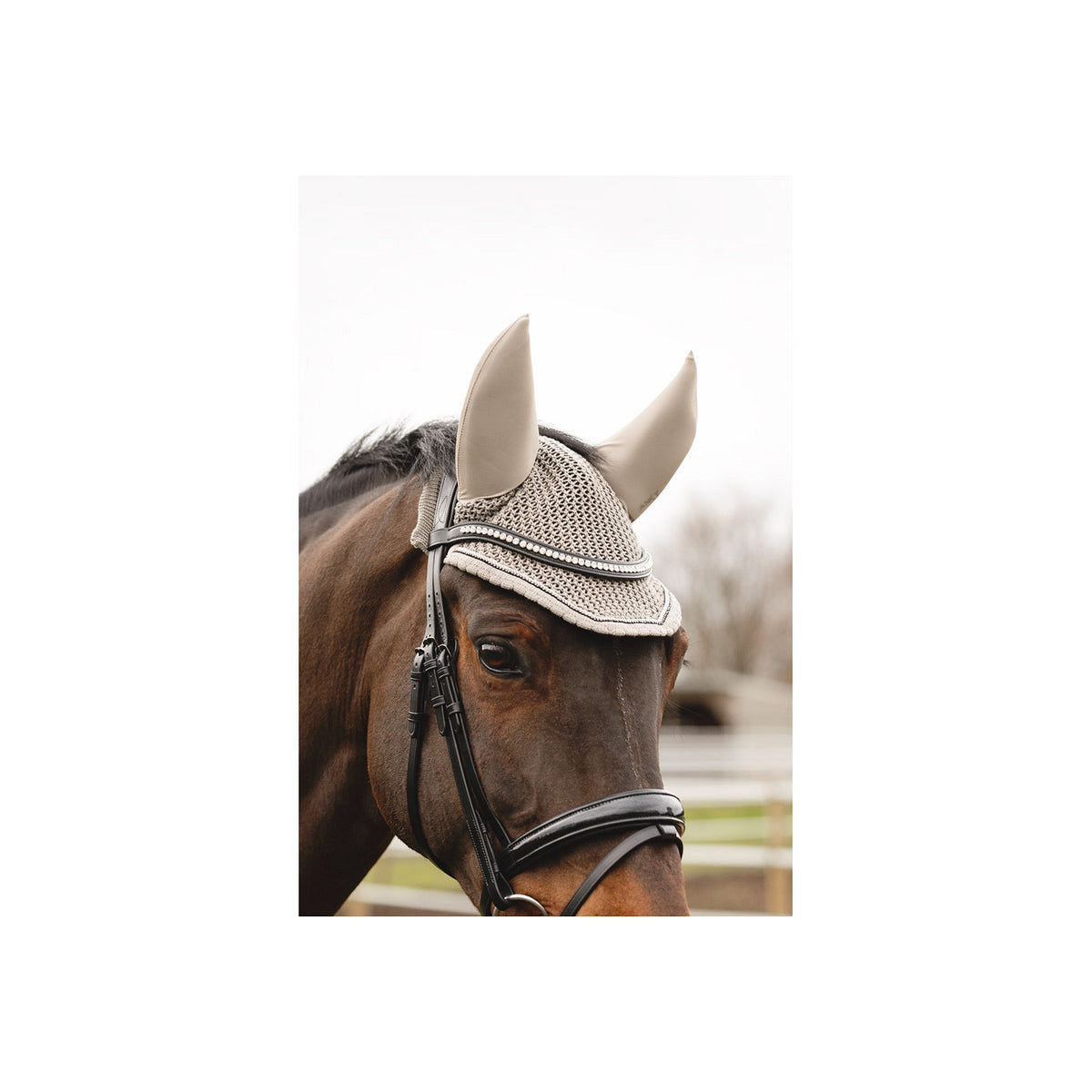 ANKY® Ear Bonnet ATB25007 3C