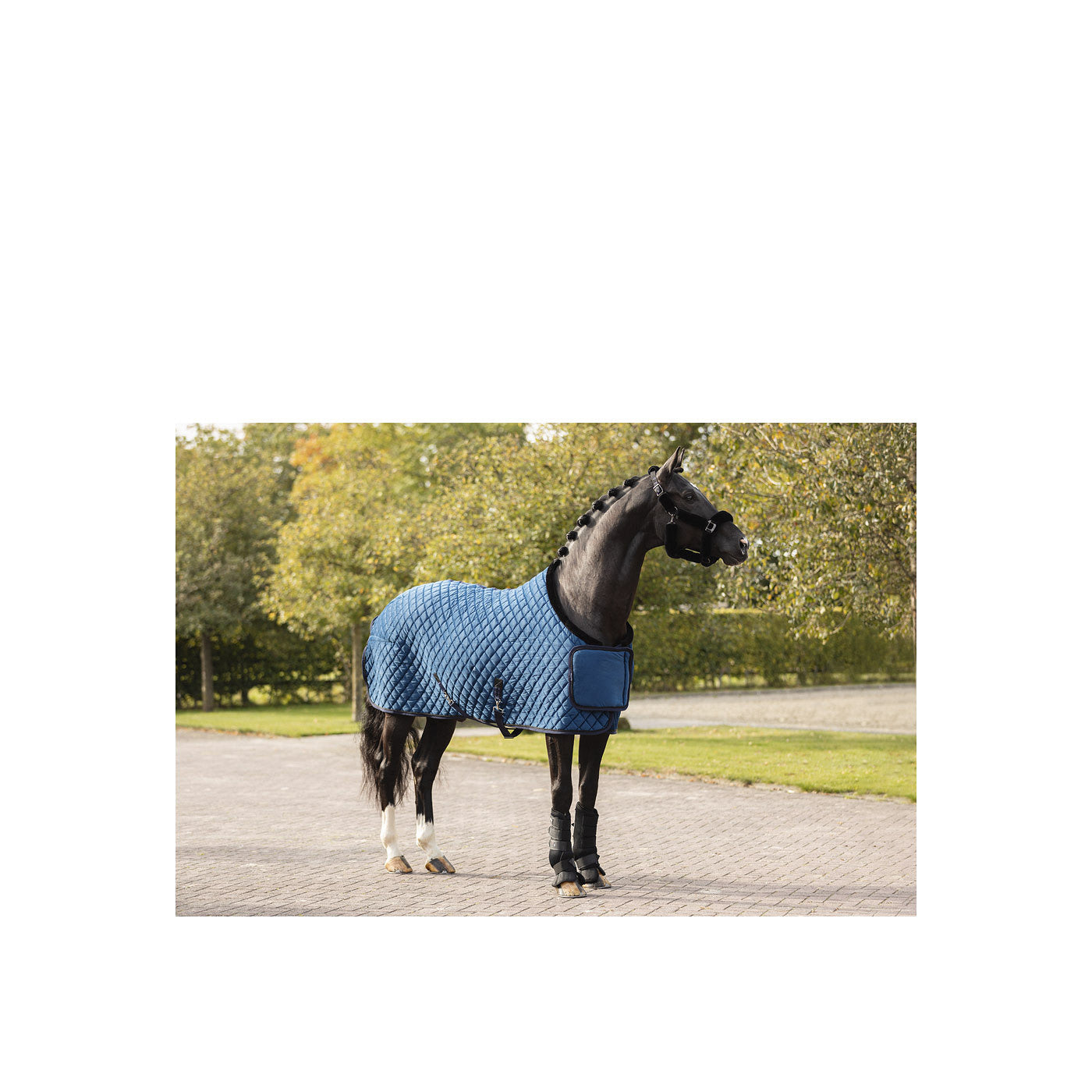 ANKY Show Rug Velvet ATB23011