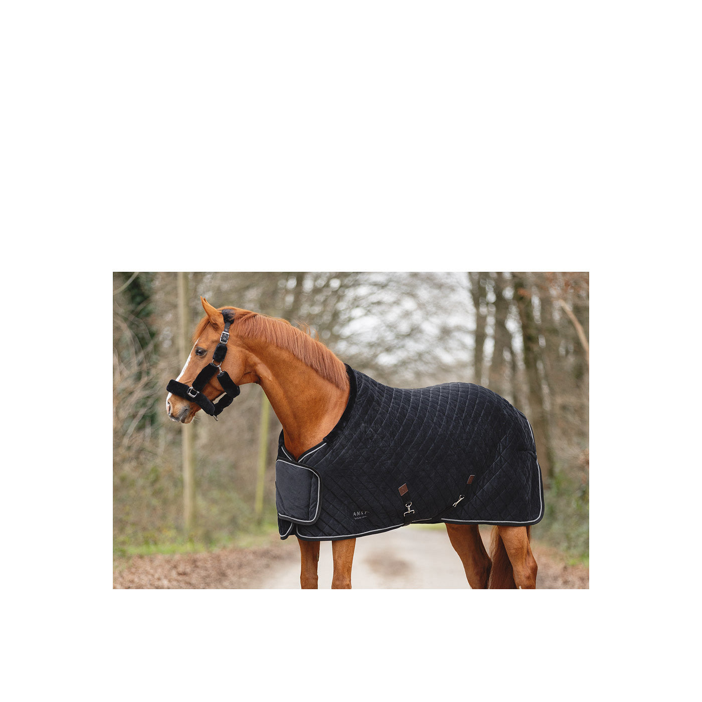 ANKY® Show Rug Victory ATB24006