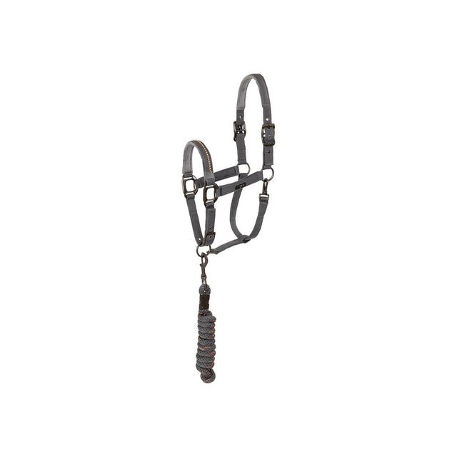 ANKY® halter and Lead stones ATH23001