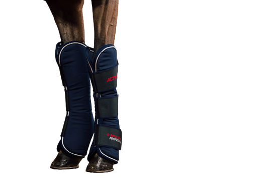 Professional Magnetic Leg Wrap - Front Component