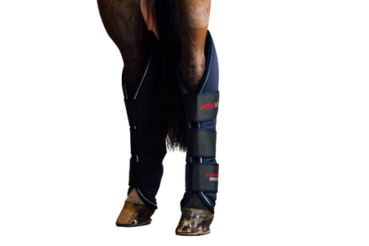 Professional Magnetic Leg Wraps - Hind Component