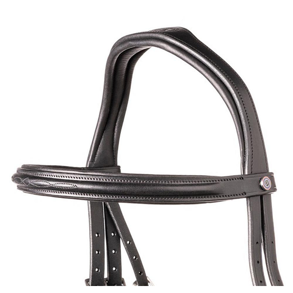 TRUST Browband Calgary