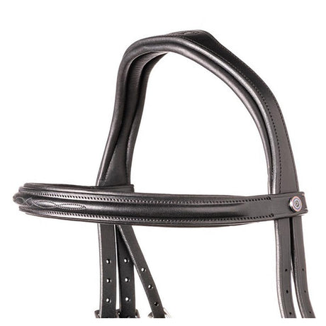 TRUST Browband Calgary