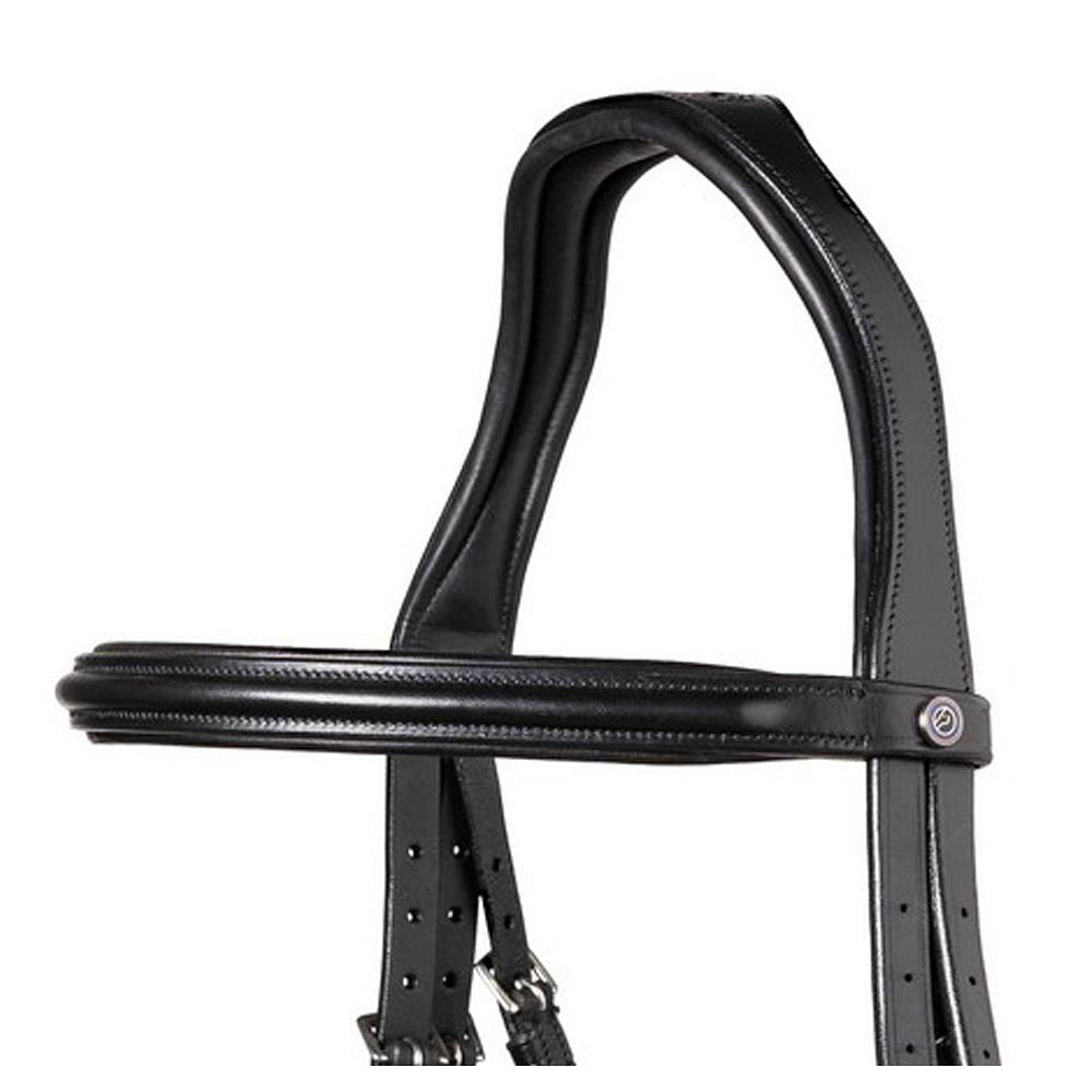 TRUST Browband Rome